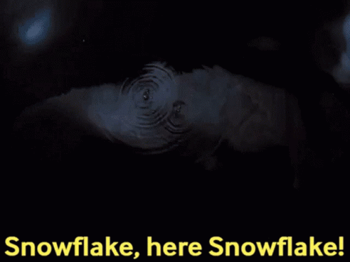 Snowflake, Here Snowflake! GIF