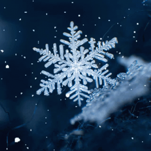 A Beautiful Snowflake GIF