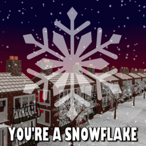 You're A Snowflake GIF