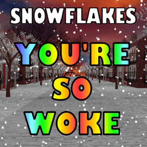 Snowflake You're So Woke GIF