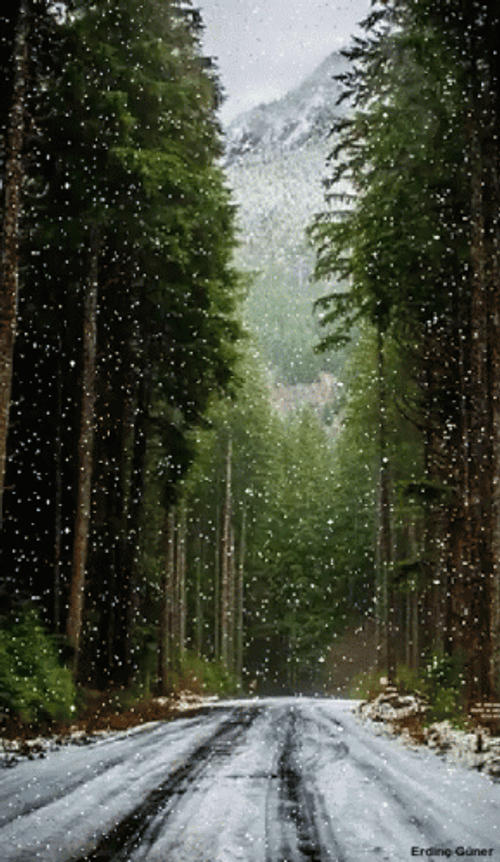 Snowflake Falling On The Road GIF