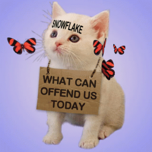 Snowflake What Can Offend Us Today GIF