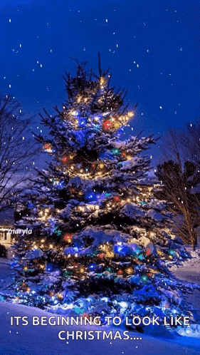 Snowing Christmas Snow Gif GIF