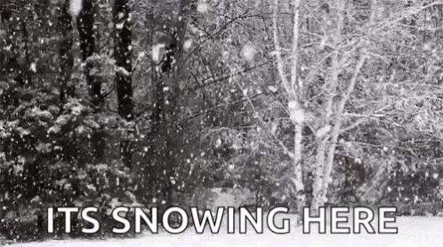 Snowing Excessively On Trees GIF