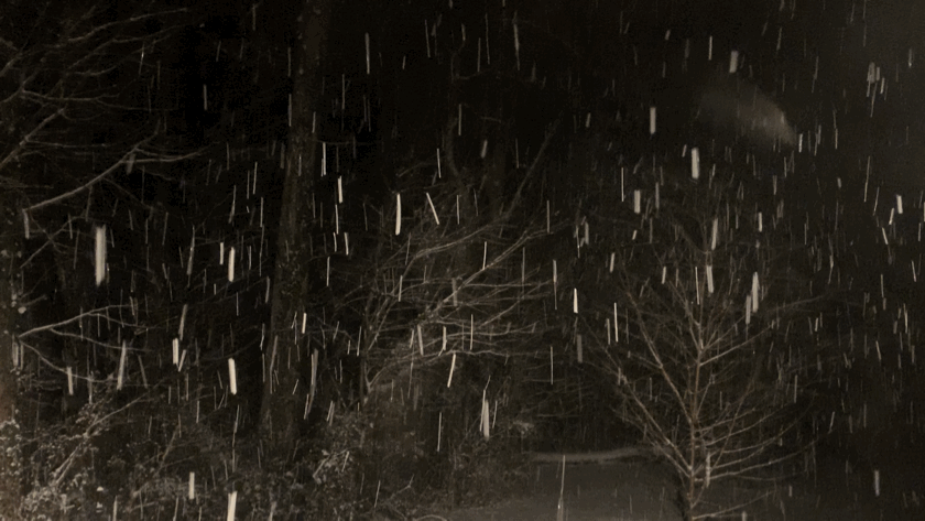 Snowing In Dark Forrest GIF