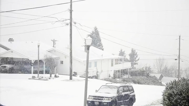 Snowing In Tacoma GIF