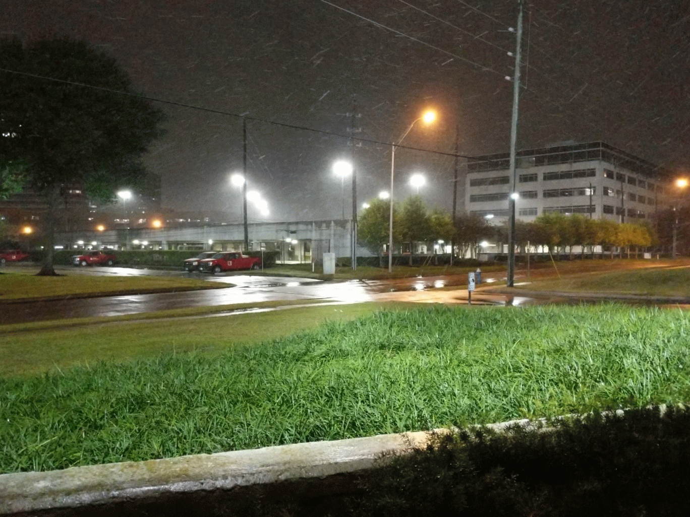 Snowing Over Houston Texas GIF
