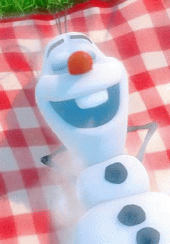 Snowman With Carrot Nose Laying on Checkered Blanket