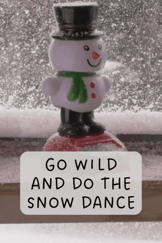 Snowman With Go Wild Snow Dance