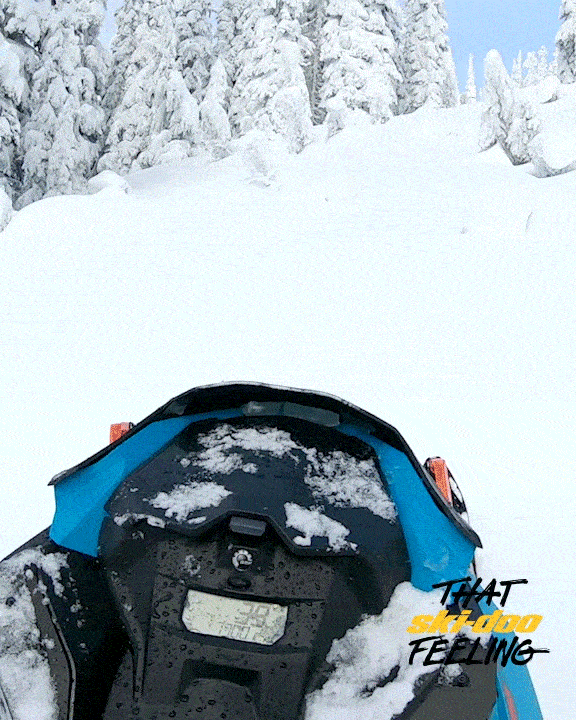 Snowmobile Rider Perspective In Snowy Forest GIF
