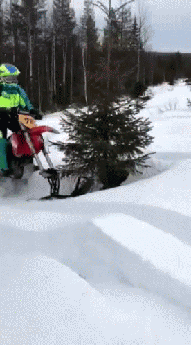 Snowmobile Wheelie Fails GIF
