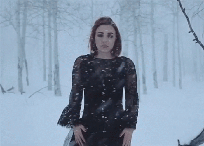Snowy Blizzard Snowstorm Von Grey GIF