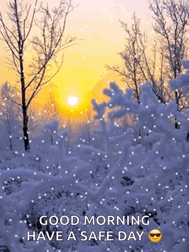 Snowy Forest Good Morning Have a Safe Day