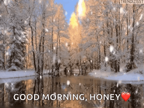 Snowy Forest Good Morning Honey