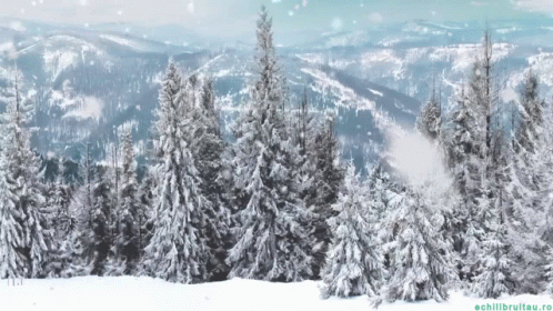 Snowy Hill Winter Wednesday GIF