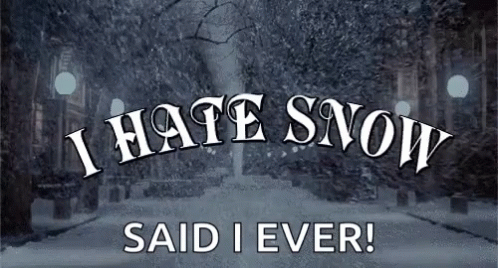 Snowy Saturday I Hate Snow No Snow GIF