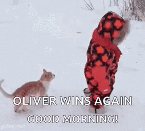 Snowy Saturday Oliver Wins GIF