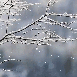 Snowy Saturday Snow Snowing GIF