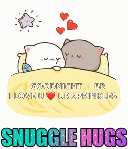 Snuggle Hug Good Night Love GIF