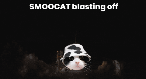 So Anyways I Started Blasting Smoocat Meme GIF