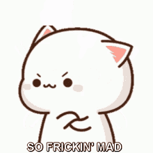So Freaking Mad Peach Cat GIF