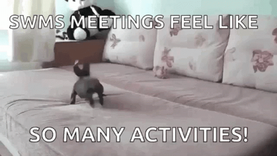 So Much Room For Activities GIF
