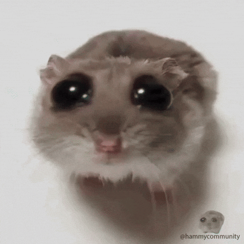 So Pity Sad Hamster GIF