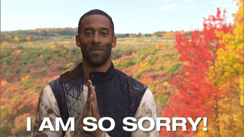 So Sorry Matt James Tv Personality GIF
