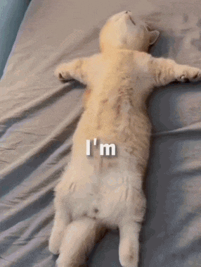 So Tired Cute Gif GIF
