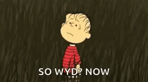 So Wyd Now Charlie Brown GIF