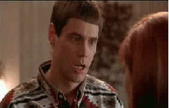 So You're Saying There's A Chance Dumb Dumber GIF