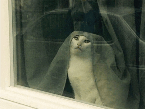 So You're Telling Me There's A Chance Outside GIF