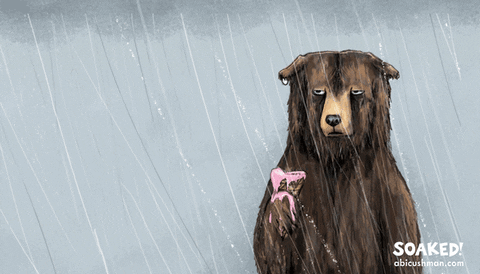 Soaking Poor Bear Drenched In Rain GIF