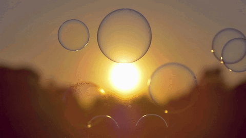 Soap Bubbles Are Floating In Front Of The Sun GIF
