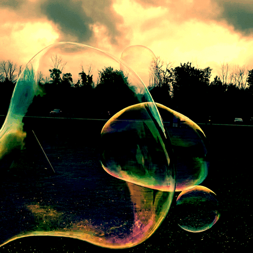 Soap Bubbles Floating at Sunset