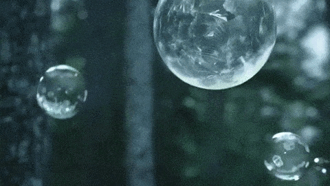 Soap Bubbles in Forest