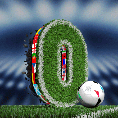 Soccer Ball Next to Grass Number 0