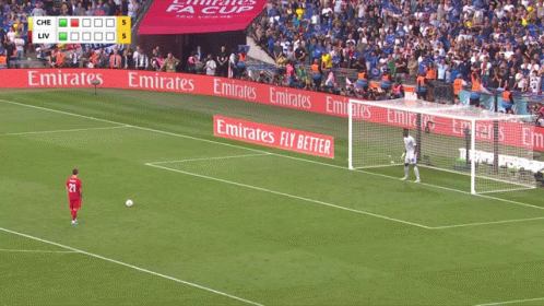 Soccer Field With Emirates Fly Better Ads
