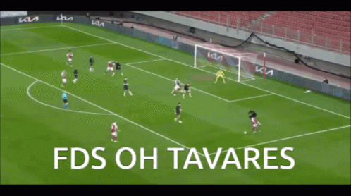 Soccer Field With FDS Oh Tavares GIF