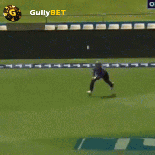 Soccer Field With Gullybet Logo GIF
