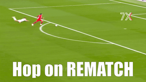 Soccer Field With Hop On Rematch