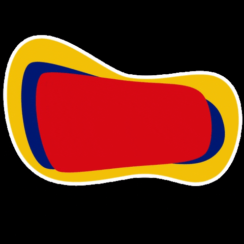 Soccer Football Ecuador GIF