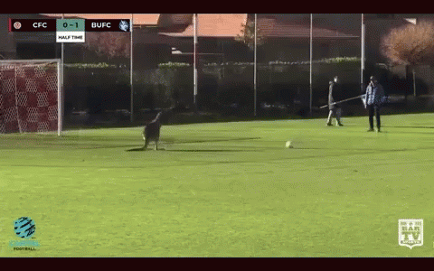 Soccer Game Between CFC and BUFC in Half Time