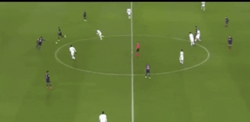 Soccer Game Between Ginja Turtle and Foul or Fanny Ginji