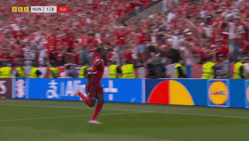 Soccer Game Between Hungary And SUI GIF
