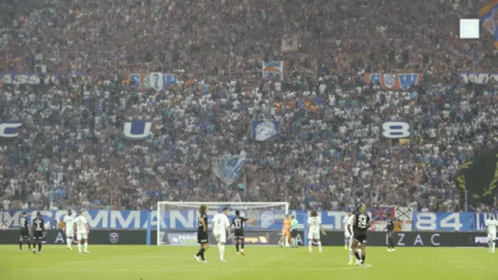 Soccer Game Crowd With Izac Banner GIF