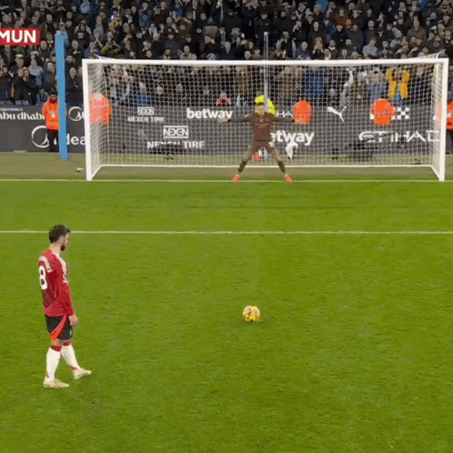 Soccer Game In Front Of Crowd GIF