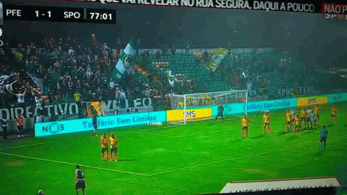 Soccer Game in Front of Crowd