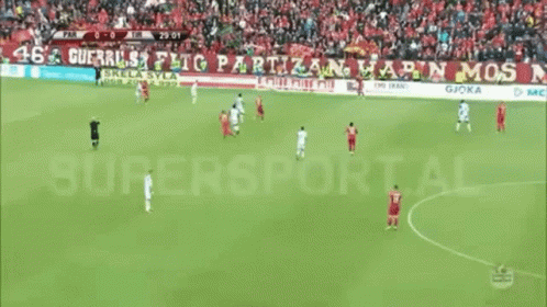 Soccer Game In Front Of Crowd GIF