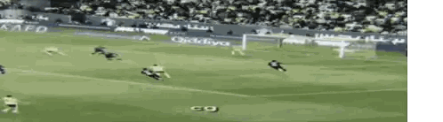 Soccer Game in Front of Crowd
